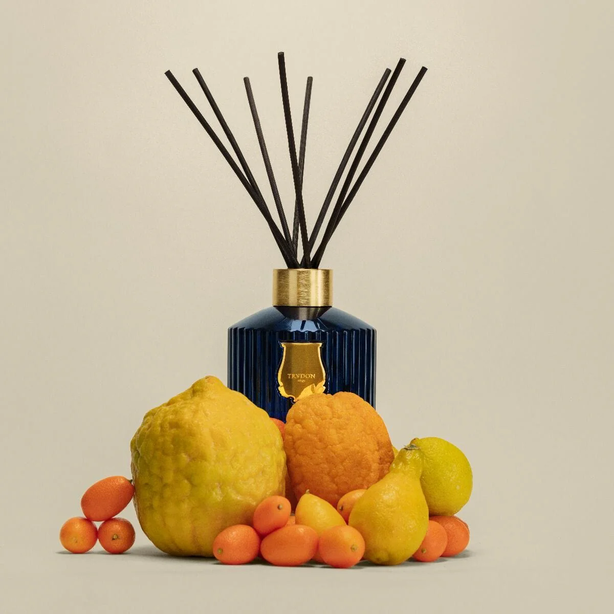 Trudon Diffuser in Belle Matiere Reggio - Image 3